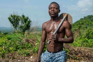 digital growth enhancement tools